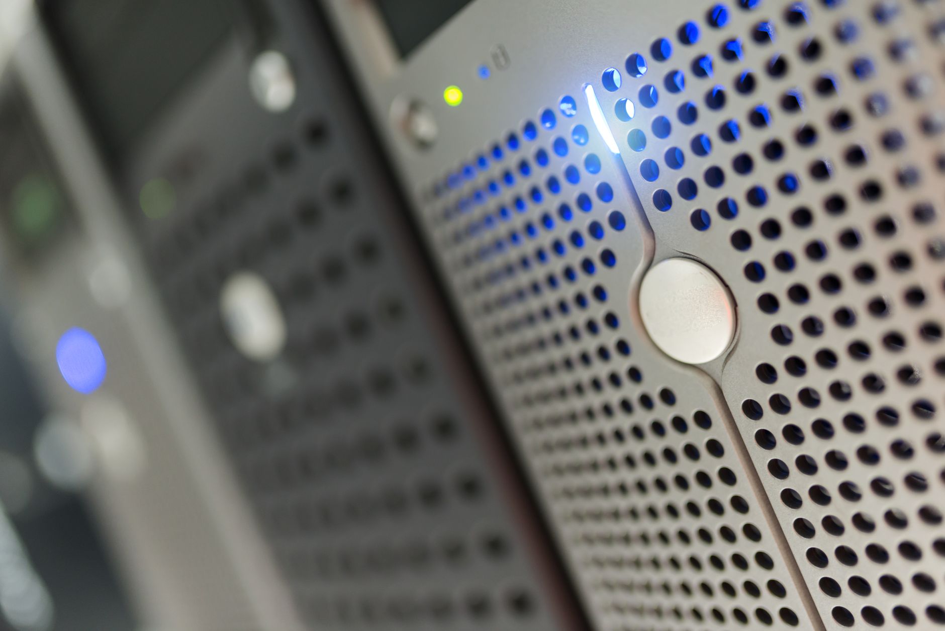 PKD 77.40.A — dzierżawą rejestracją nazw domen internetowych